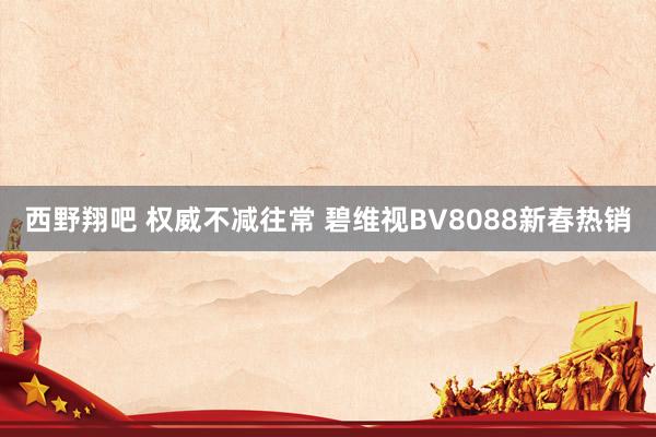 西野翔吧 权威不减往常 碧维视BV8088新春热销