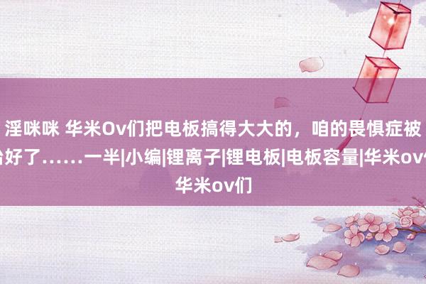 淫咪咪 华米Ov们把电板搞得大大的，咱的畏惧症被治好了……一半|小编|锂离子|锂电板|电板容量|华米ov们