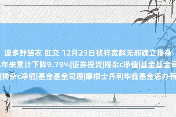 波多野结衣 肛交 12月23日祯祥宽解无邪确立搀杂C净值下降1.99%，本年来累计下降9.79%|证券投资|搀杂c净值|基金基金司理|摩根士丹利华鑫基金惩办有限公司